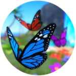 Monarch Wings Collection