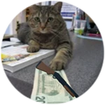 Money Skin