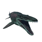 Mosasaurus Skin - Undead