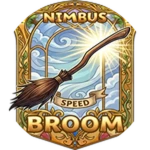 Nimbus Broom
