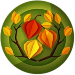 November Accessories 2022