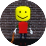 OP FLY SWATTER