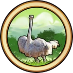 Ostrich Skins