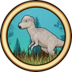 Pachy Skins