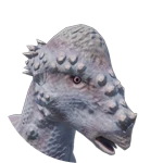 Pachycephalosaurus Skin - Ashen