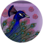 Peafowl Package