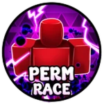 PERM RACE