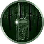 Permanent Radio