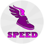 PERMANENT SPEED PASS