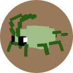 Pet Aphid