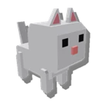 Pet Cat