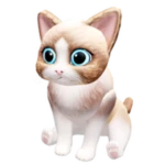 Pet - Cat 