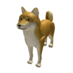 Pet Doge!
