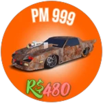 PM 999