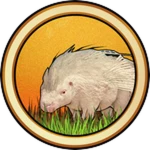 Porcupine Skins