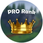 PRO