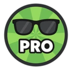 PRO