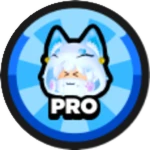 Pro 