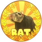 Rat