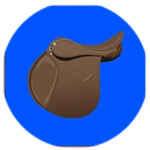 Saddle Game Pass