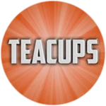 [SALE] Teacups Ride Operator