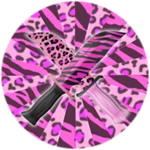 Sassy Bundle