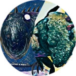 SCP PACK 1 (NEW)