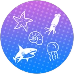 Sea Pattern Pack