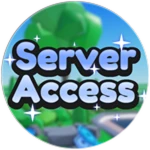 Server Access