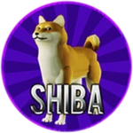 Shiba Dog
