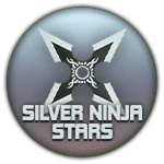 Silver Ninja Star