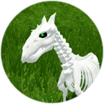 Skeletal Horse