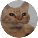 Skip