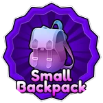 Small Backpack
