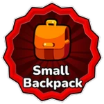 Small Backpack