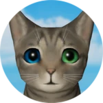 Special Eyes