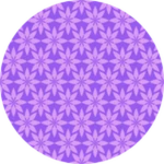 Starry Blossoms Wallpaper