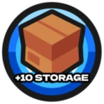 STORAGE