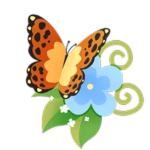 Summer Naturalist Bundle 2026