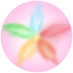 Super Sakura Donation