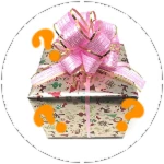 THANKSGIVING MYSTERY BOX
