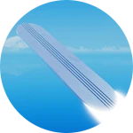 The Surfer