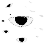 THE VOID Pack