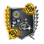 Third Accessory Slot