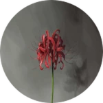 tokyo-ghoul-flower-29h7jy5ob7e2odta.jpg