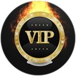 V.I.P.