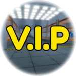 V.I.P