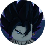⭐ Vegito Bundle ⭐