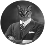 venture capitalist