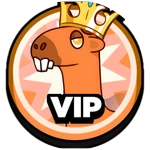 VIP